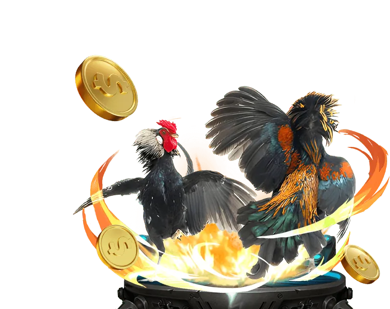 Hình ảnh khuyến mãi chào mừng